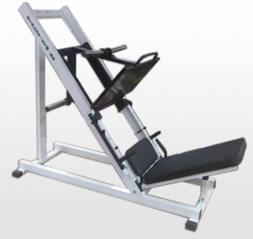 Dialog gym. Гаки тренажер sl702. V-Sport BT-203 Гак машина. Гак машина ББ. Гак машина тренажер.